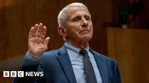 Fauci on 'solid legal ground' in face of prosecution threat, lawyer says