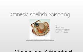 Image result for Amnesic Shellfish Poisoning