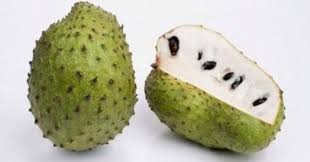 Khasiat buah durian belanda kuliah ini disampaikan oleh dr ustaz abdul aziz. Khasiat Durian Belanda Bagi Kesihatan Badan