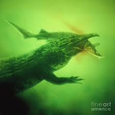 Image result for Proterosuchus