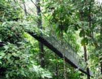 (tanapa) tanzania national park authority manages serengeti national park entrance fees (park fees) while ngorongoro conservation area authority (ncaa) manages the ngorongoro entrance fees and it excludes crater services. Penang National Park Taman Negara Pulau Pinang Malaysia