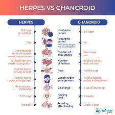 Image result for chancroid