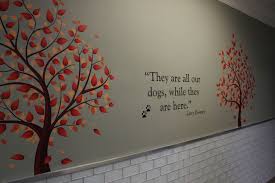 We built an entire resort experience around pets and their needs, even those with special dietary and medical needs. Pet Boarding Grooming And Daycare In Mesa Az 85213