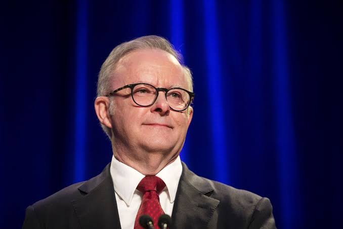 Australia's Ruling Labor Party Retakes Poll Lead From Right-Wing One Nation - Bloomberg