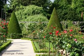 Dann wissen sie im voraus, welche pflanzen in ihrem garten gut gedeihen werden und welche es sich nicht lohnt zu pflanzen. Hier Einfach Und Schnell Ihre Bodenanalyse Bestellen