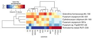 Apr 28, 2020 · background for decades, plastic has been a valuable global product due to its convenience and low price. Arsenal Of Plant Cell Wall Degrading Enzymes Reflects Host Preference Among Plant Pathogenic Fungi Biotechnology For Biofuels Full Text