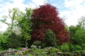 Hier ist es zu gleich beschaulich, erholsamen und lehrreich. Sonja On Twitter Im Botanischen Garten Der Justusliebiguniversitat Giessen Gibt Es Viele Malerische Ecken Giessen Lahn Blumen Pflanzen Baume Botanischergarten Mittelhessen Hessen Germany Https T Co Ugnnxxmr74