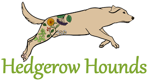 Get free holistic pet products now and use holistic pet products immediately to get % off or $ off or free shipping. Hedgerow Hounds Holistic Dog Care Products