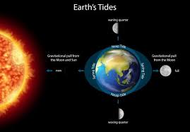 Download Diagram Showing Earth Tides With Earth And Sun For Free Earth Tide Neap Tides