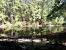 Purtis Creek State Park