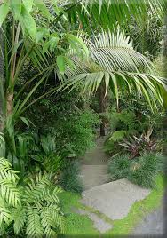 Back Garden Patio Designs In 2020 Tropical Garden Design Tropical Backyard Landscaping Tropical Landscaping