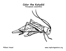 See what katydid (akworthington) has discovered on pinterest, the world's jellyfish zentangle coloring page from zentangle category. Katydid Coloring Page