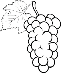 Purple coloring pages > these are purple grapes coloring page. Coloring Pages Grape Coloring Page Purple Coloring Pages