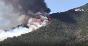 Rüzgarın etkisiyle yayılan alevlere muğla orman bölge müdürlüğü ve çevre bölge müdürlükleri bünyesindeki 10 helikopterle havadan, 15 arazöz, 3 dozer ve çok sayıda orman işçisiyle de karadan müdahale ediliyor. 8nawiync7ikgrm