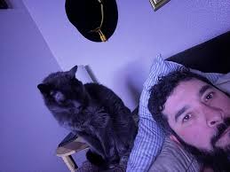 How to find a lost senior cat in El Paso?