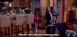 The best gifs are on giphy. Best Zola Grey Shepherd Gifs Gfycat