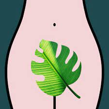 I actually left it on a table in my living room for a full week, it was so pretty. 7 Vaginal Products And Treatments You Just Don T Need Self