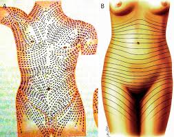 Solved 1 Wrinkles Flexure Lines < Cleavage Lines > Friction | Chegg.Com” style=”width: 100%; height: auto; title=”Solved 1 Wrinkles Flexure Lines < Cleavage Lines > Friction | Chegg.Com”><figcaption style=