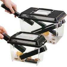 Exo Terra Cricket Pen