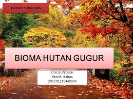 We did not find results for: Bioma Hutan Gugur Disusun 0leh Yeni H Kabes Ekologi Tumbuhan Ppt Download