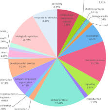 Pie Chart Summary Of Biological Processes In The Chamaeleo