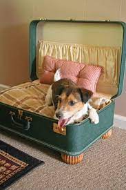 pin van ludmila novotnickova op decoracion con maletas hondenmand hondenbedden honden kamers