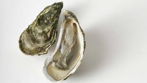 FDA Issues Recall for Future Seafoods Oysters Over Salmonella and E. Coli Worries