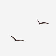 Seamless pattern with hyacinyh macaws,flowers and palm leaves. Flying Geese Geese Geese Flying South Png Transparent Clipart Image And Psd File For Free Download