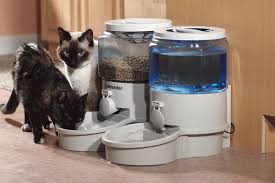 Feeding wet food using an automatic dispenser is tricky since the food will need to be refrigerated to prevent it from spoiling. Things To Note Before Buying A Cat Feeder 19 Automatic Cat Feeder Automatic Cat Cat Feeder