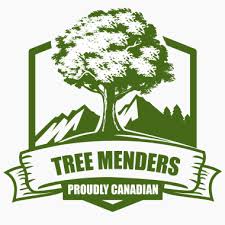 Maybe you would like to learn more about one of these? The 10 Best Arborists In Toronto Last Updated July 2021 Starofservice