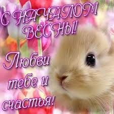 4 группы крови 4 пути к здоровью питера д адамо S Nachalom Vesny Milye Otkrytki Hamster Animals Cards