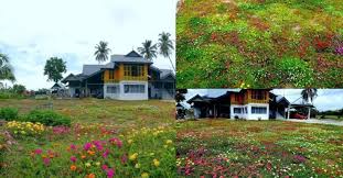 Dapatkan info tentang pelaburan saham bursa malaysia, nyse, hartanah, pengurusan kewangan dan takaful dari sifu pelaburan seluruh malaysia. Gaya Hidup Page 4 Berita Ku