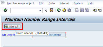 Define Document Number Ranges In Sap Sap Documents Range