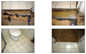 Bathroom Floor Repair Bathroom Design Bathroom Flooring Bathroom Makeover Flooring