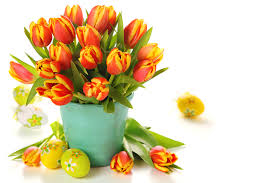 Wählt in unserem shop den schönsten osterstrauß mit frischen schnittblumen aus und legt ihn in euren persönlichen warenkorb. Foto Ostern Eier Tulpen Blute