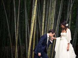 Affordable North Carolina Wedding Venues Budget Nc Wedding Venues Wedding Venues North Carolina Nc Wedding Venue Nc Wedding