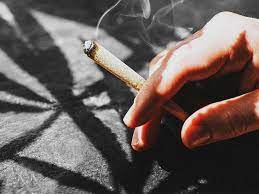 How Long Does Marijuana Stay In Your System Blood Urine And Hair