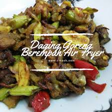 Bukan macam daging goreng berempah biasa, resepi kali ini ialah daging goreng madu berempah. Daging Goreng Berempah Air Fryer