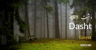 Dasht E Tanhai Main Guzri Hain Meri Sham O Seher Urdu Words With Meaning Urdu Words Language Urdu