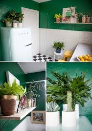 Des Plantes Dans La Cuisine Relooking Cuisine Cuisines Maison Style Cuisine