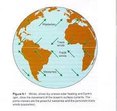 In order to sail around the tip of africa, portuguese sailors had to move against two powerful ocean flows: Ocean Currents And Climate