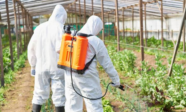How Long After Spraying Pesticides is It Safe? | EPC