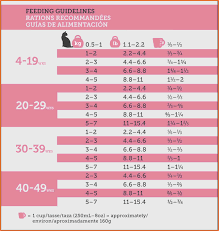 kitten weight and feeding chart 2019