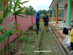 Sepanjang tabika dan taska dibenarkan dibuka semula selepas pelaksanaan perintah kawalan pergerakan(pkp), kemas mematuhi prosedur operasi. Projek Taman Botani Sekolah Tabika Anak Ceritera Si Gadis Biru