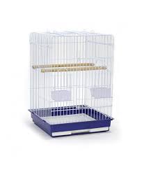 Pet stores near me that sell bird cages. Dayang Bird Cage 904 Medium 47 X 47 X 66cm Sold By Box Of 2 Pcs Dimension 47 X 47 X 66cm