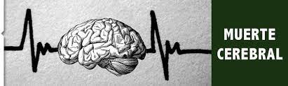 La muerte encefálica se define como el cese irreversible en las funciones de todas las estructuras neurológicas intracraneales, tanto de los hemisferios cerebrales como del troncoencéfalo. Pin En Donacion Y Trasplantes Donation Trasplants