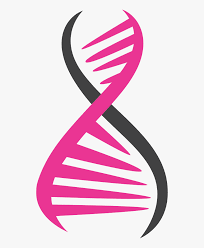 All our images are transparent and free for personal use. Dna Png Dna Png Hd Transparent Png Kindpng