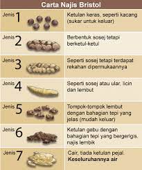 Look through examples of sembelit translation in sentences, listen to pronunciation and learn grammar. Carta Najis Bristol Positive Parenting