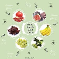 Les Fruits Dans Le Coran Fruits Figues Olives