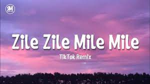 Zile zile song download